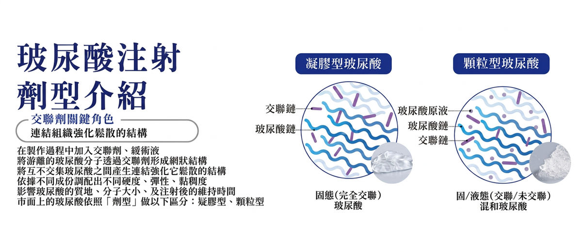 玻尿酸劑型介紹:凝膠型與顆粒型