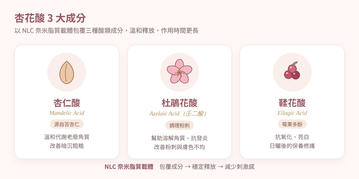 杏花酸 3 大成分:杏仁酸、杜鵑花酸(壬二酸)、鞣花酸,以 NLC 奈米脂質載體包覆